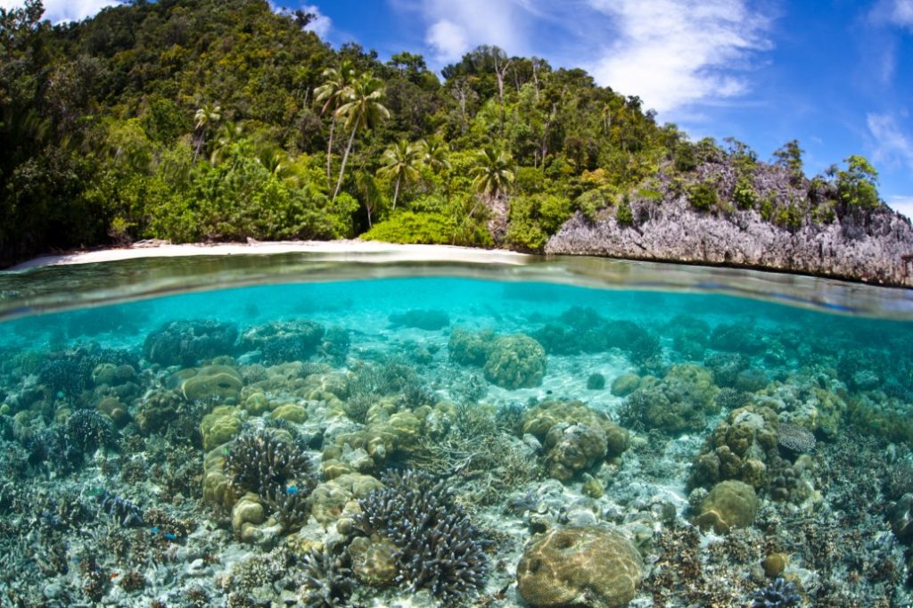 Papua onder de zeespiegel