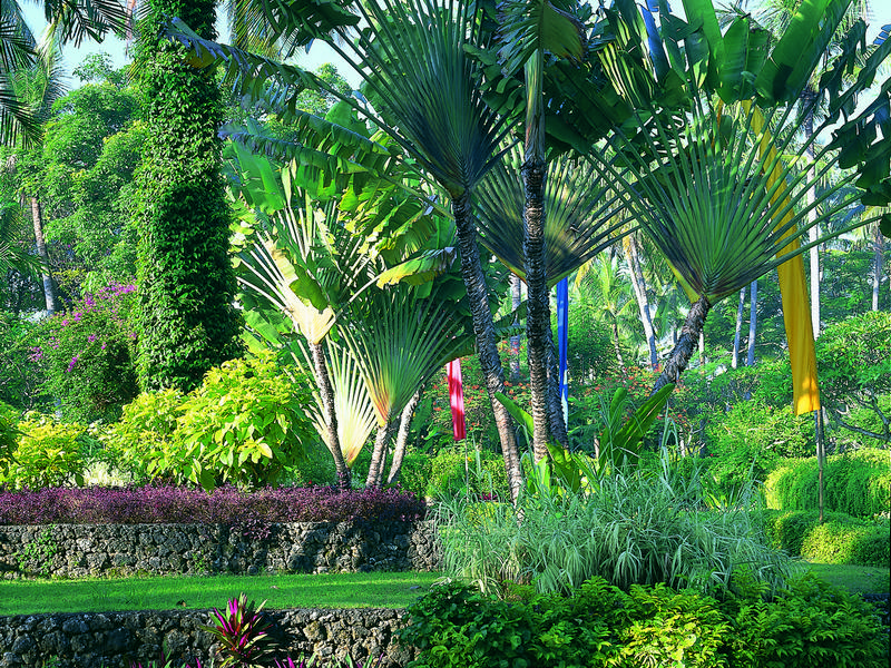 Sanur, Bali Hyatt | Rama Tours