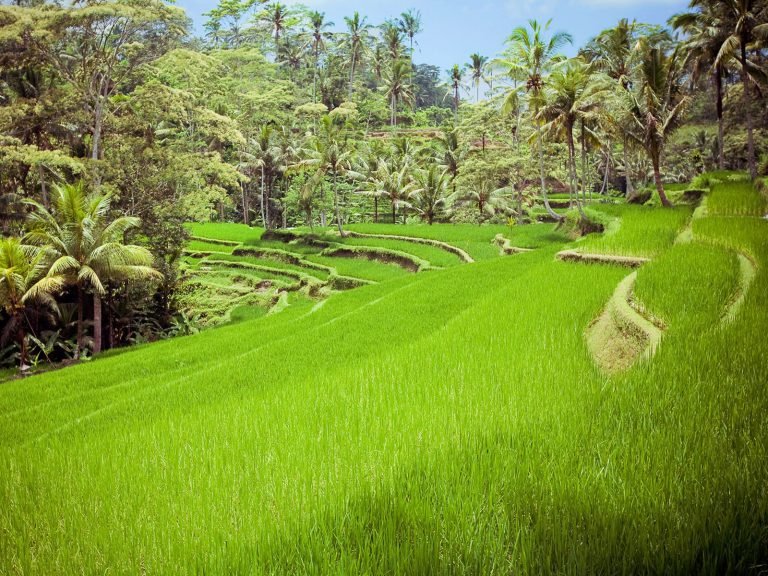 Hoogtepunten | Rama Tours