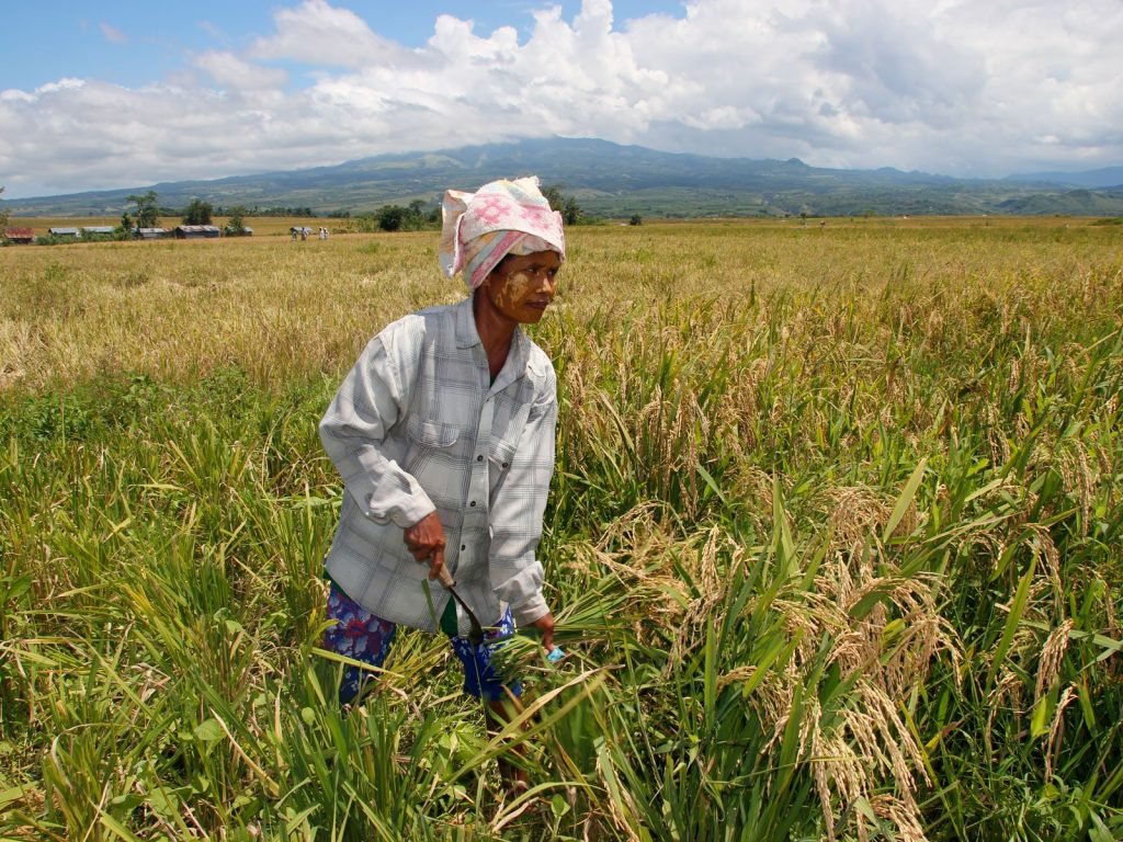 Flores, Ruteng | Rama Tours