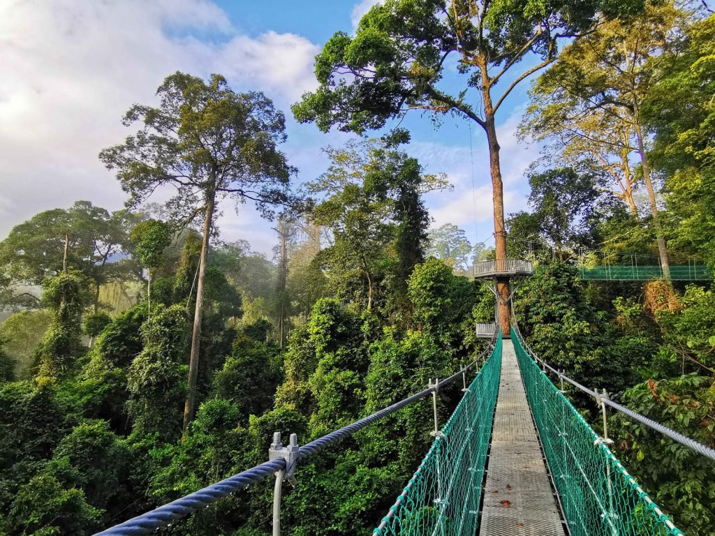 Danum Valley National Park | Rama Tours