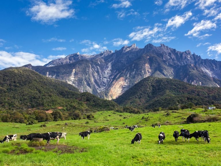 Hoogtepunten | Rama Tours
