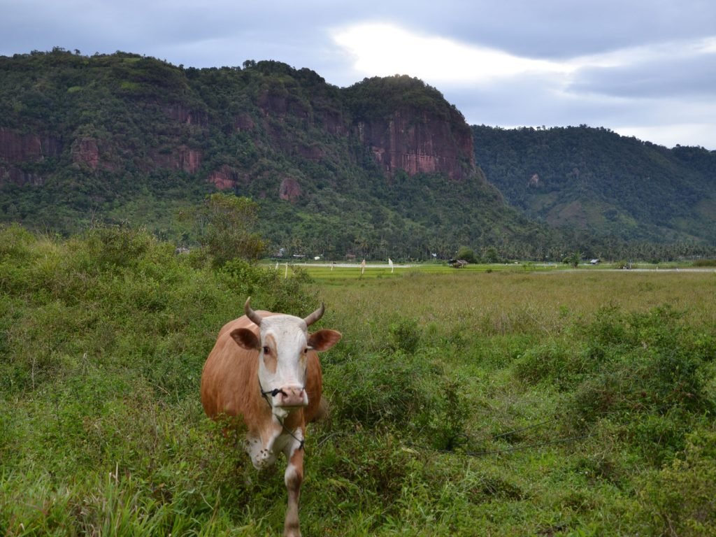 Harau Valley | Rama Tours