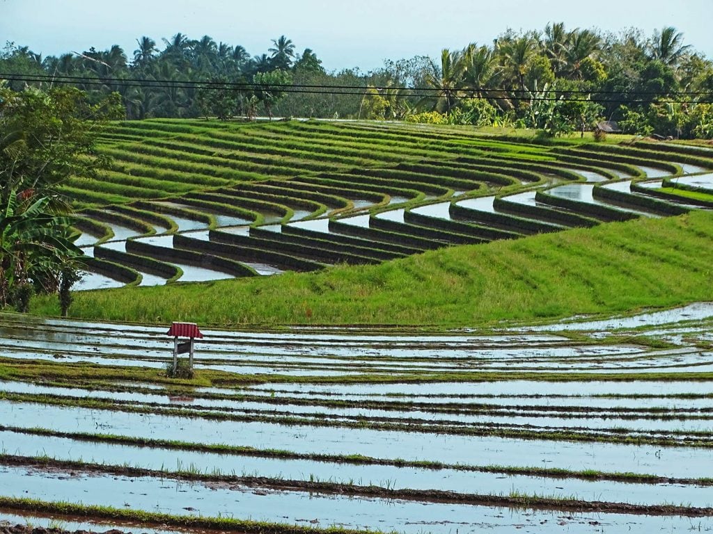 Bali, de Kleine Sunda eilanden en Lombok