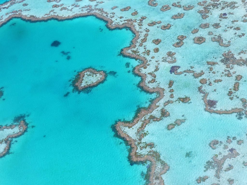 Cairns en het Great Barrier Reef | Rama Tours