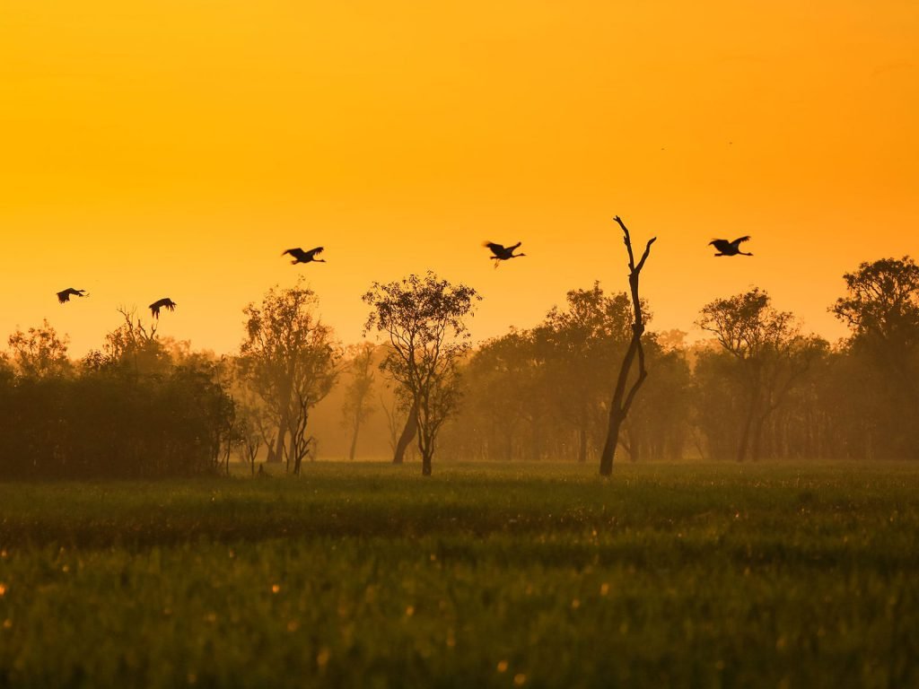 Darwin en Kakadu National Park | Rama Tours