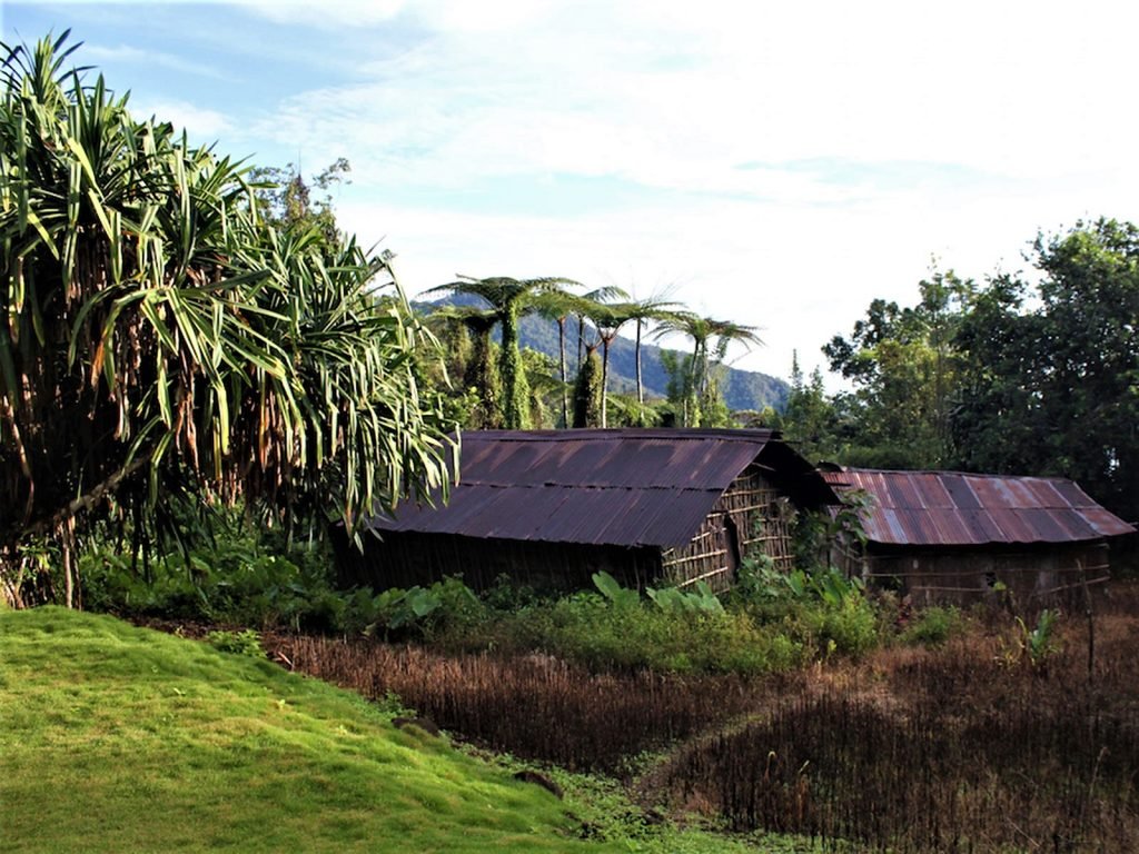 Manokwari en het Arfak gebergte | Rama Tours