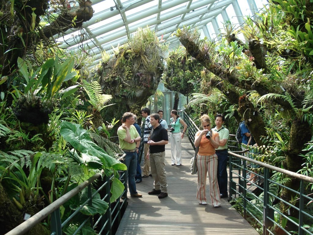 Botanische tuinen Singapore | Rama Tours