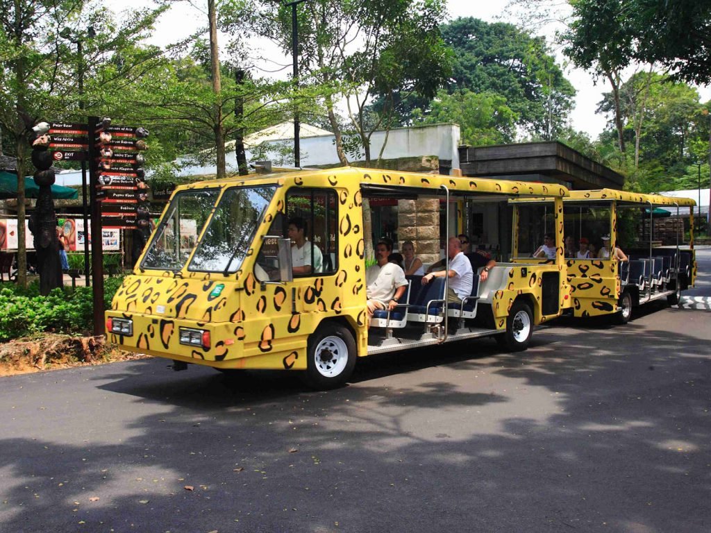 Singapore Zoo | Rama Tours