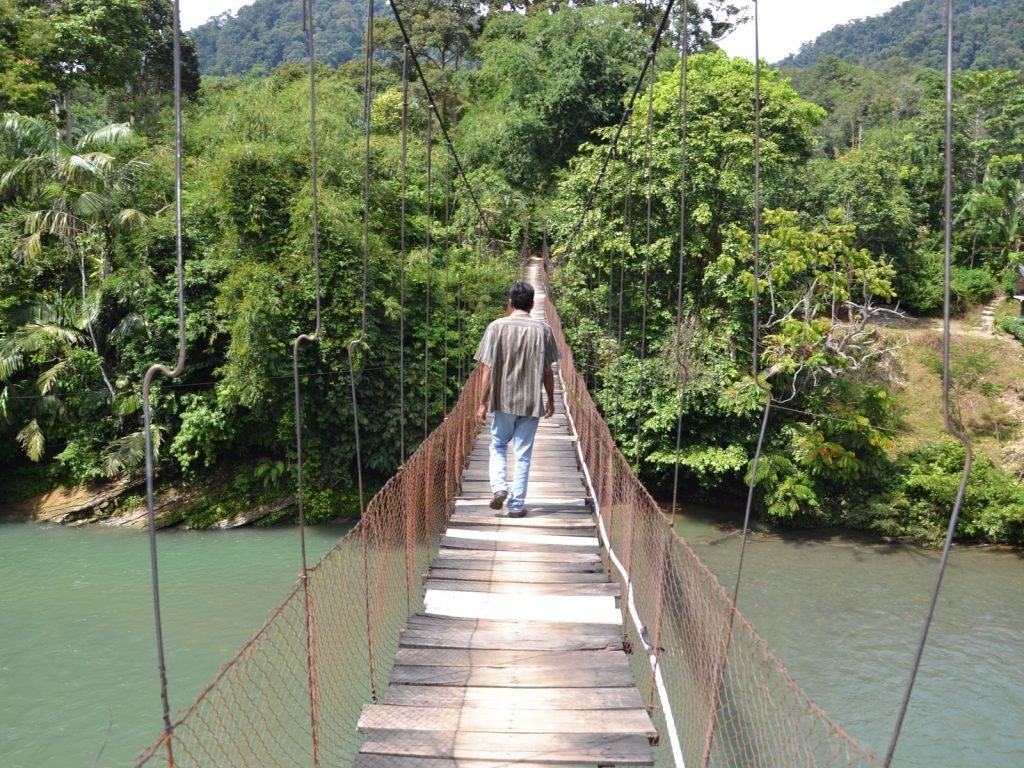 Tangkahan, Jungle Lodge | Rama Tours