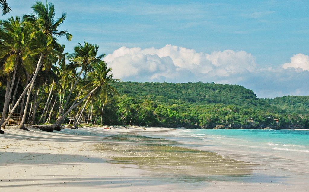Uniek Sulawesi