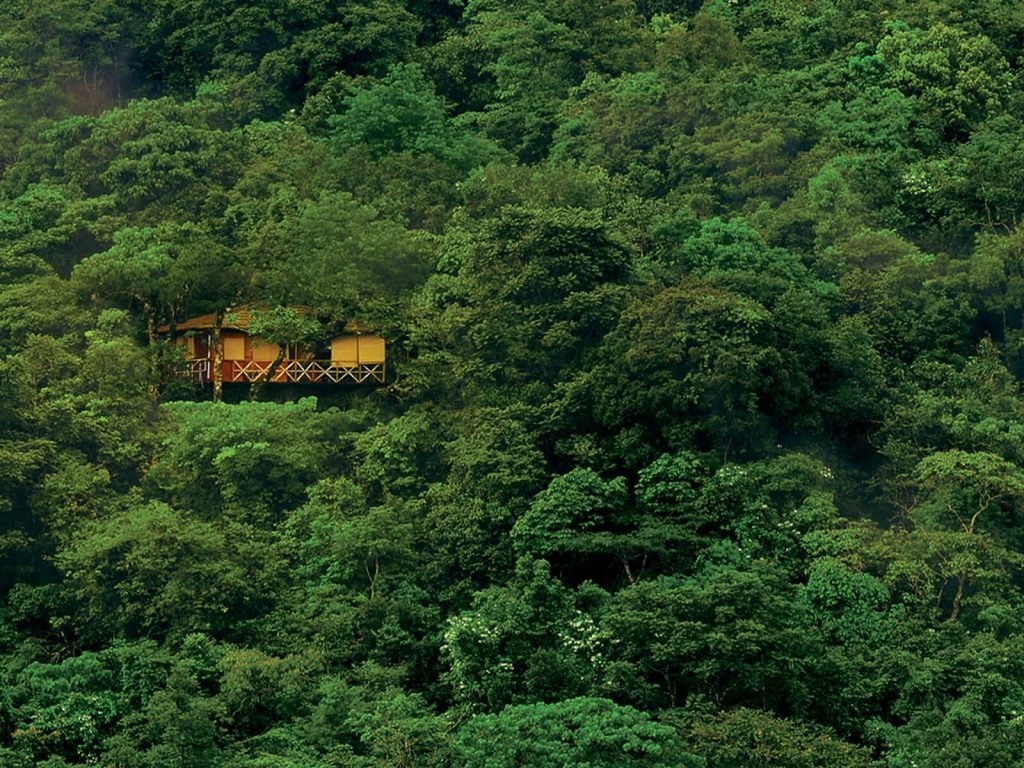 Wayanad, Vythiri resort | Rama Tours