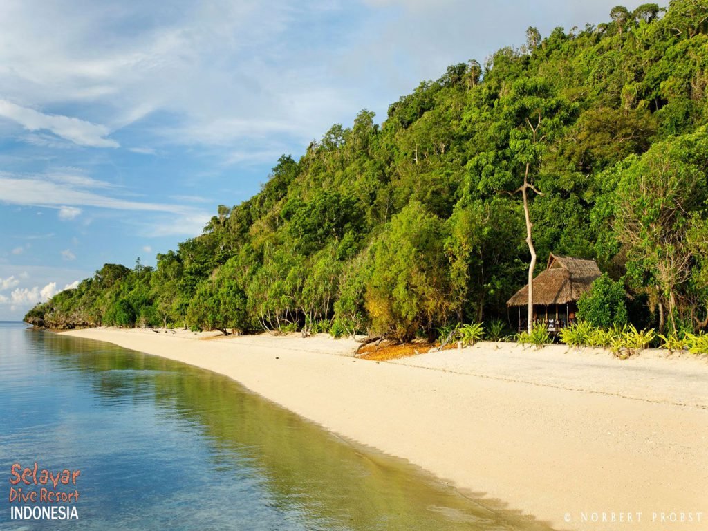 Selayar, Selayar Dive resort | Rama Tours