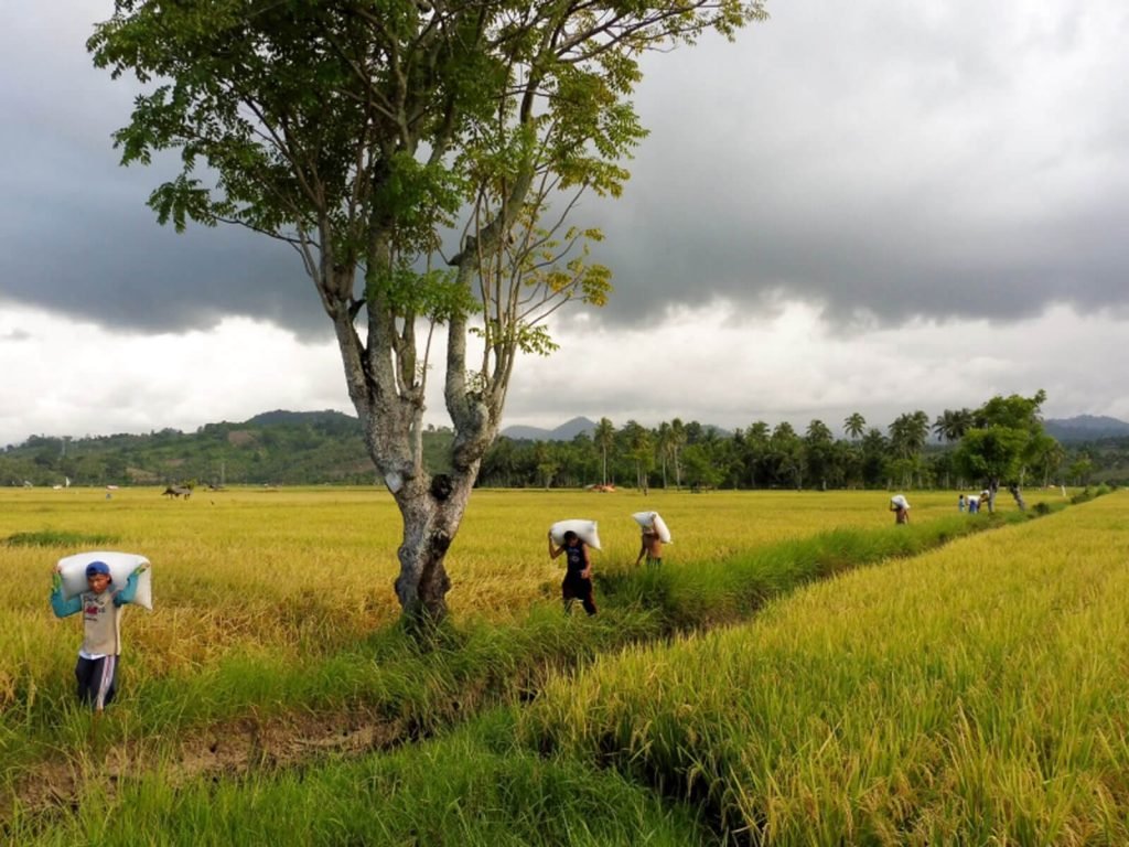 Gorontalo | Rama Tours