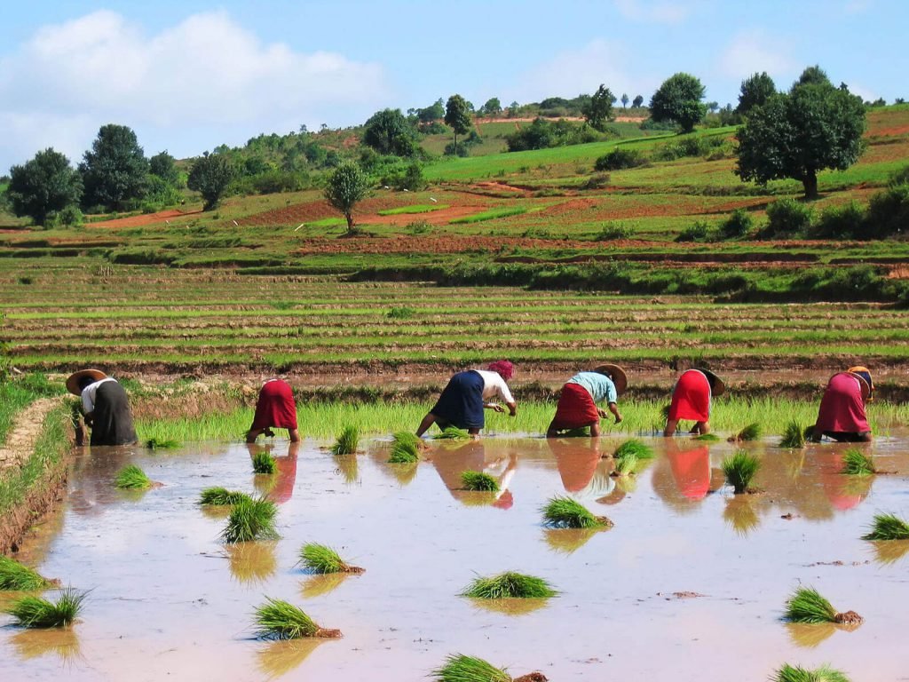 Kalaw | Rama Tours