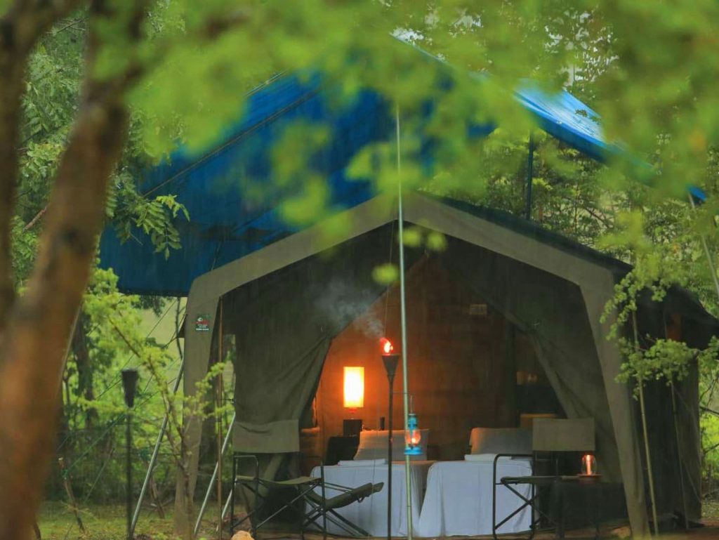 Yala National Park, Big Game reserve | Rama Tours