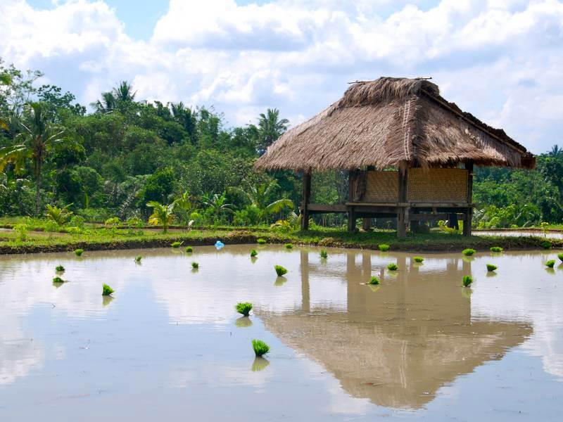Lombok