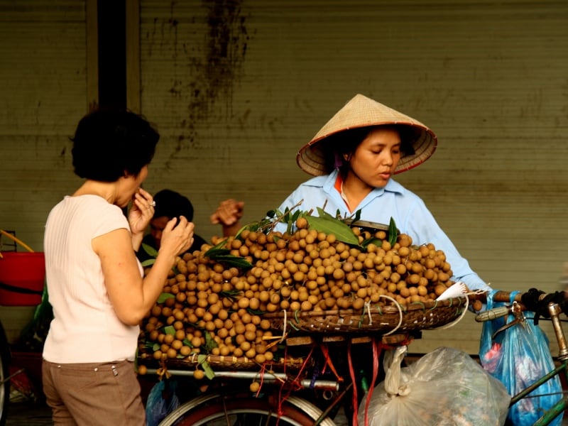Vietnam