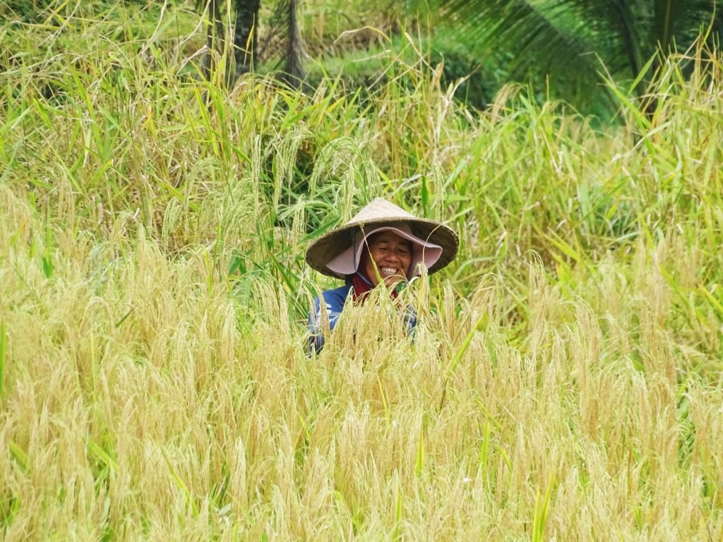 Jatiluwih | Rama Tours