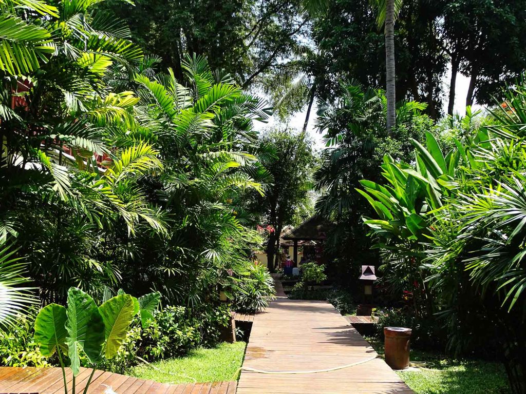 Koh Samui, Chaweng Regent resort | Rama Tours