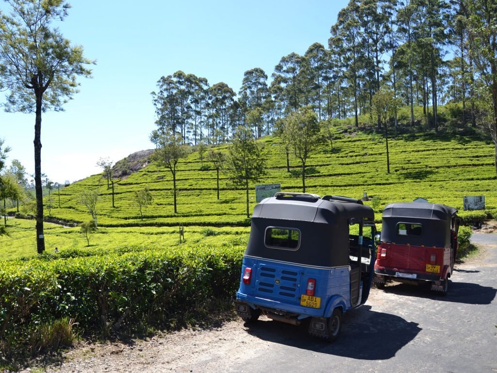 Lipton's Seat | Rama Tours