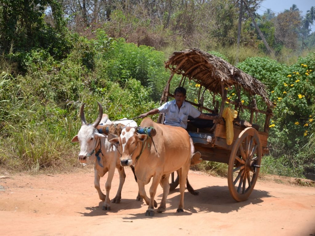 Hiriwaduna | Rama Tours