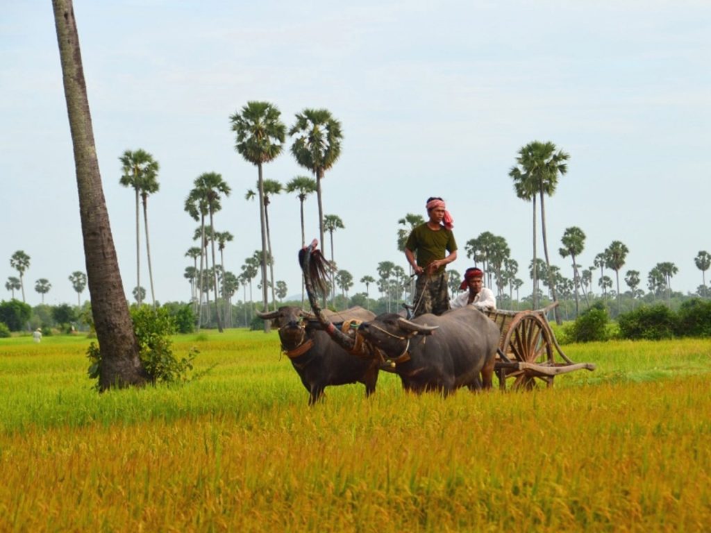 Battambang | Rama Tours