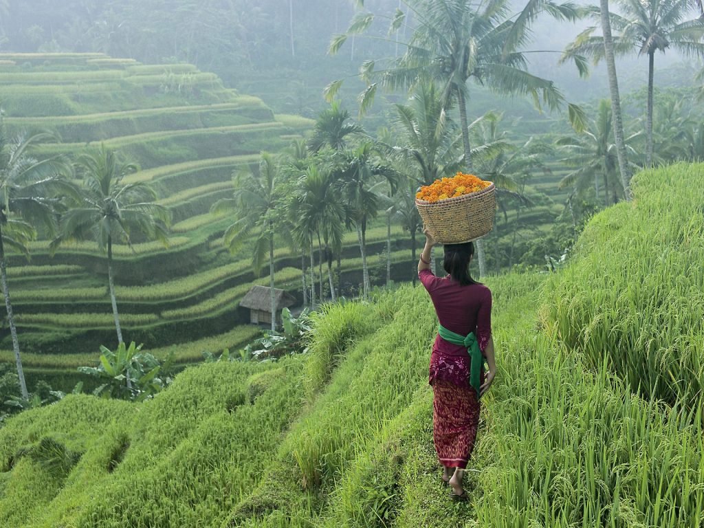 Belimbing | Rama Tours