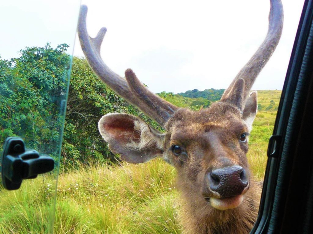 Horton Plains National Park | Rama Tours