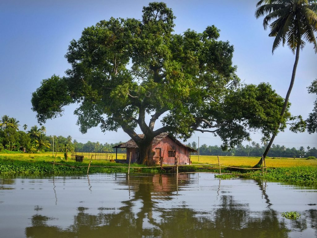 Backwaters van Kerala | Rama Tours