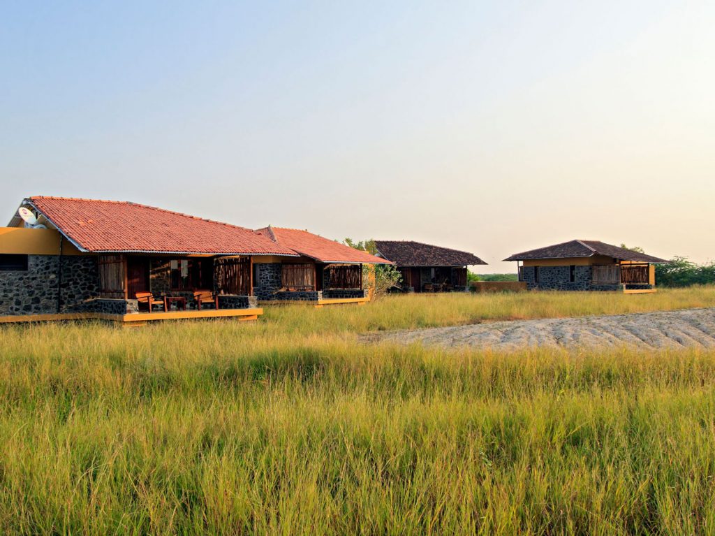 Velavadar, The Blackbuck Lodge | Rama Tours